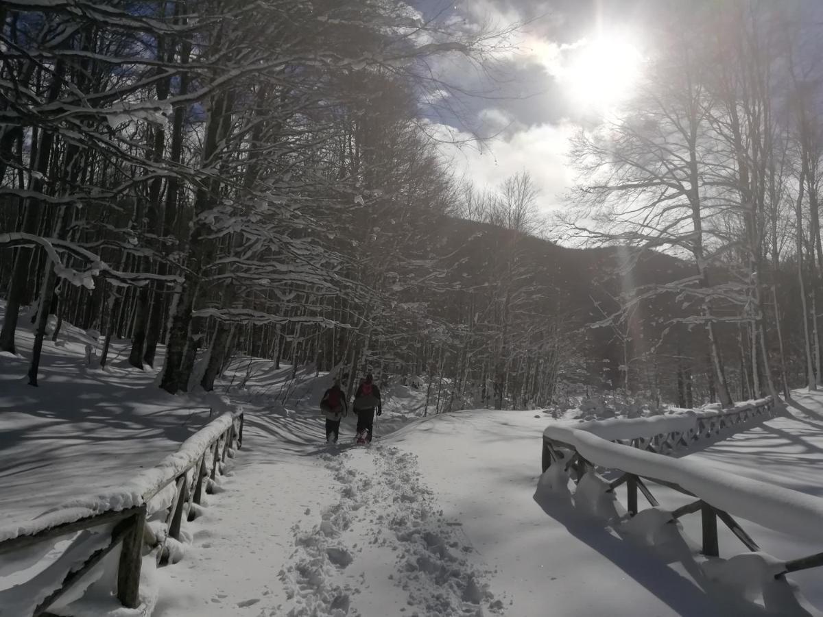B&B Il Buon Cammino Roccamandolfi Bagian luar foto